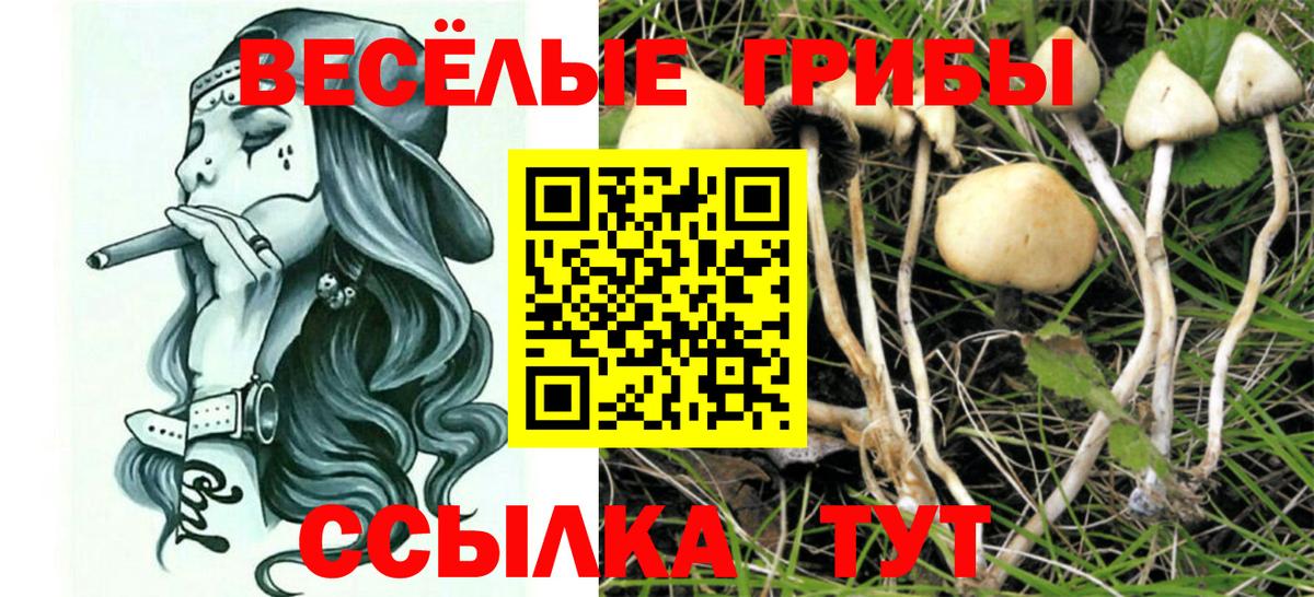Галлюциногенные грибы Cubensis  Вход с VPN  магазин продажи наркотиков  Калач-на-Дону  Псилоцибиновые грибы мицелий 
