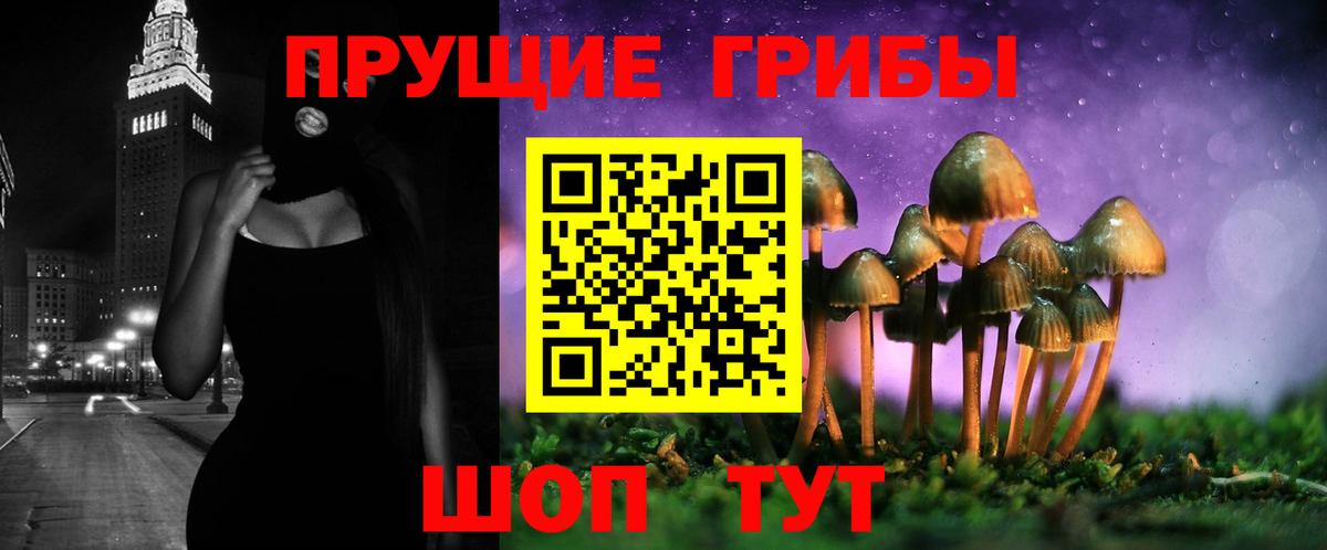 Галлюциногенные грибы Psilocybe Калач-на-Дону